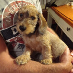 Hur söt kan man va?